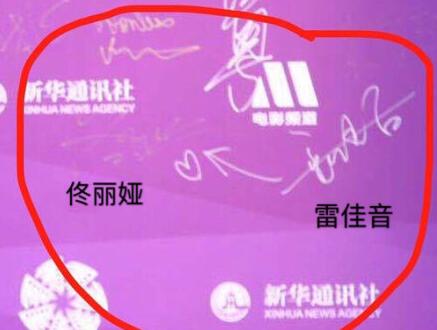 暗戳戳加戏?雷佳音走红毯像赶集 