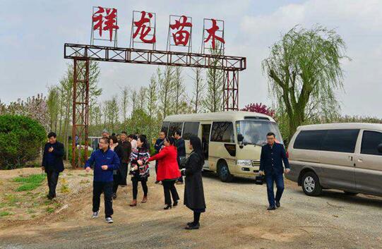 山东祥龙建业集团二月兰笔会及采风活动