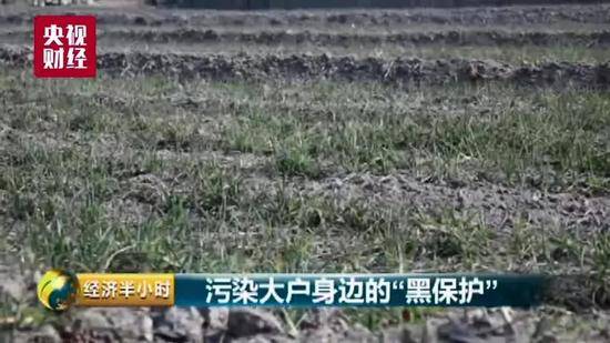 恶行昭然天下!央视记者暗访遭扣 村民之死背后的“秘密”被揭开
