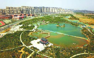 华山湿地公园重现昔日盛景 - 济南社会 - 舜网新闻