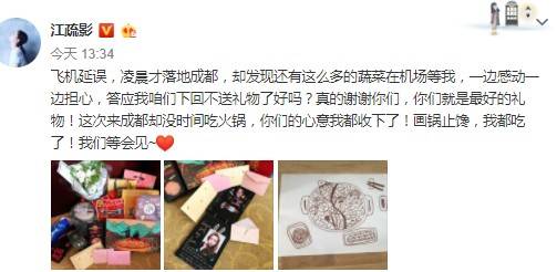 幸福的蔬菜！江疏影叮嘱粉丝画锅止馋：你们就是最好的礼物