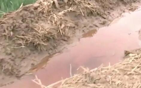 触目惊心！红水浇地案被通报 发现渗坑1个、渗井3个粮食还能吃？