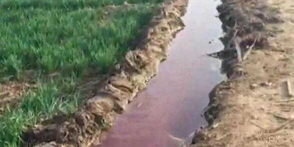 明目张胆？红水浇地案被通报拘4人 