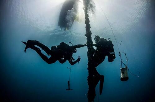 中国海军，生日快乐！