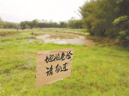 鱼塘现神秘大坑 村民哭着说一万公斤鱼被“吞”了损失12万