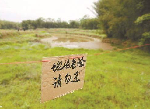 鱼塘现神秘大坑 约一万公斤鱼被“吞” 损失12万元血汗钱！