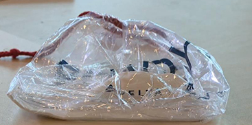 真的没听说过 坐飞机被赠送免费苹果 带苹果下飞机却被罚款500美元