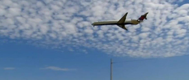 真的没听说过 坐飞机被赠送免费苹果 带苹果下飞机却被罚款500美元