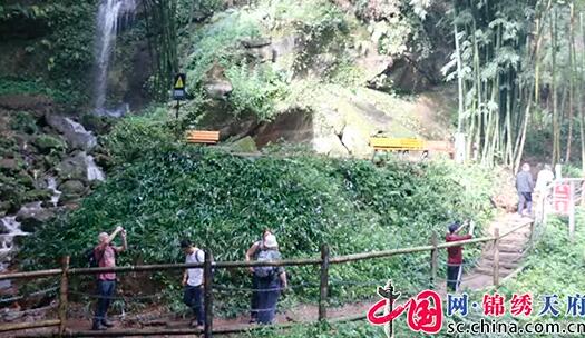 成都首座玻璃栈道五一开放 山中云雾拂来竹海层峦叠嶂