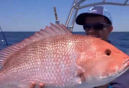 稀奇!男子钓金黄大怪鱼通体赤红 腹雪白黑溜溜的眼珠像珍珠