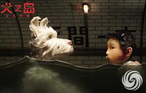 犬之岛揭零号狗面纱 狗子们萌且可爱 放映伊始便现“彩蛋”