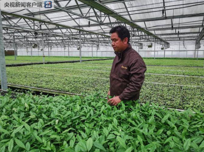 习近平走进三峡移民新村 175米线上的新生活