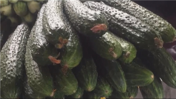 带花的黄瓜全蘸了避孕药？专家告诉你是怎么回事