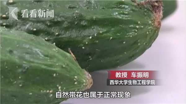带花的黄瓜全蘸了避孕药？专家告诉你是怎么回事