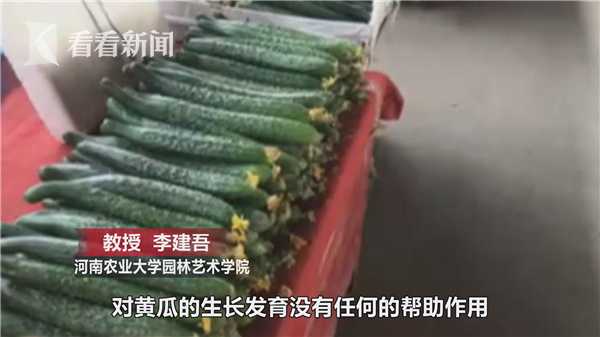 带花的黄瓜全蘸了避孕药？专家告诉你是怎么回事