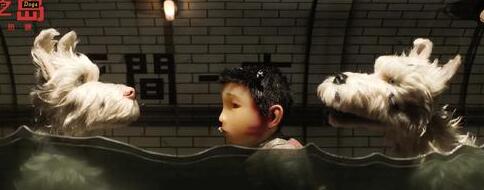 追寻爱犬！犬之岛零号狗热映 五狗忠诚护卫令人泪目