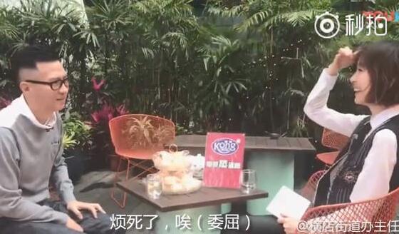 “渣渣辉”接受鲁豫采访 张家辉：现在整个中国都在笑我