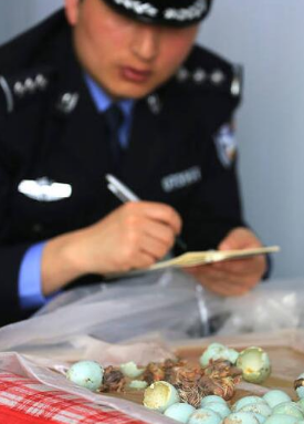 警方查获白鹭鸟蛋 原来是三个贼在云台山上偷的 竟然有410枚之多