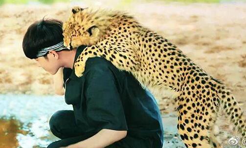 张若昀斥隐私被泄 把艺人隐私当做公开透明的卖点去炒作