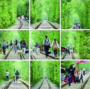 南京警方劝游客勿赴“爱情隧道”：就1条铁路2排树