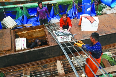 四大海域同步休渔 吃货担忧：海鲜会不会集体涨价？