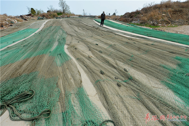 青岛码头实拍 渔民吊船补网修整进入休渔期