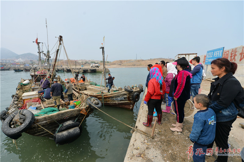 青岛码头实拍 渔民吊船补网修整进入休渔期