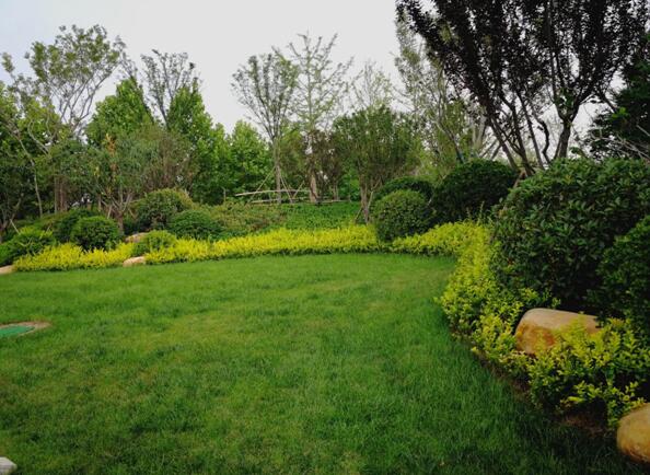 将山下臻装小高层 四室宽境拥揽阳光生活