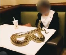 哭笑不得!抱着蟒蛇去吃饭 男店长被吓晕人中都掐破了还没醒过来