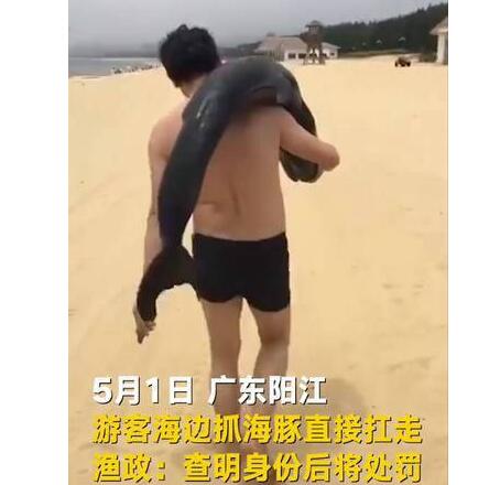 人不知法胆子越大！游客疑似活捉海豚扛着走 网友:快点自首比较好