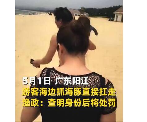 人不知法胆子越大！游客疑似活捉海豚扛着走 网友:快点自首比较好