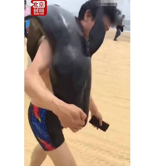 人不知法胆子越大！游客疑似活捉海豚扛着走 网友:快点自首比较好