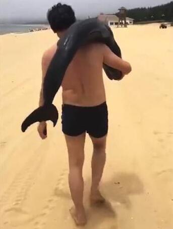 广东阳江海陵岛：游客疑似活捉海豚 五一假期迎来旅游高峰