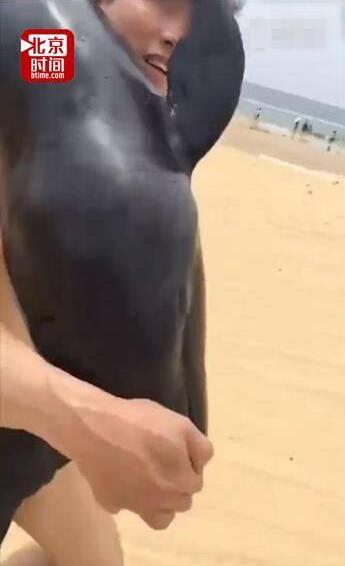 广东阳江海陵岛：游客疑似活捉海豚 五一假期迎来旅游高峰