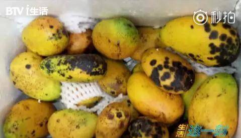 恶心到吐!网红饮品内幕曝光 用来榨汁的竟然是发黑腐烂的芒果
