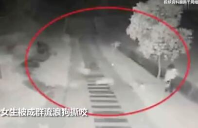 惨不忍睹!女生遭流浪狗撕咬险毁容 狗哪来的?事故责任认定?