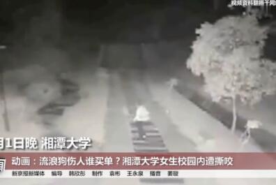 惨不忍睹!女生遭流浪狗撕咬险毁容 狗哪来的?事故责任认定?