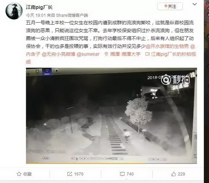 女生遭流浪狗撕咬引热议 流浪狗如何妥当安置？还需科学处理