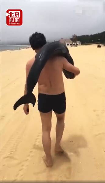 无知！游客疑似活捉海豚用肩扛着有说有笑 网友：快点自首吧！