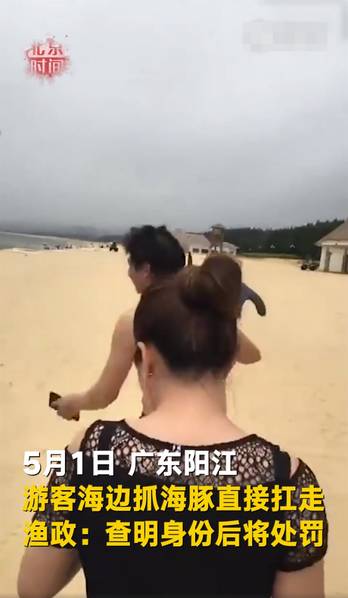 无知！游客疑似活捉海豚用肩扛着有说有笑 网友：快点自首吧！