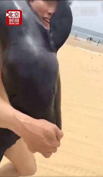 无知！游客疑似活捉海豚用肩扛着有说有笑 网友：快点自首吧！