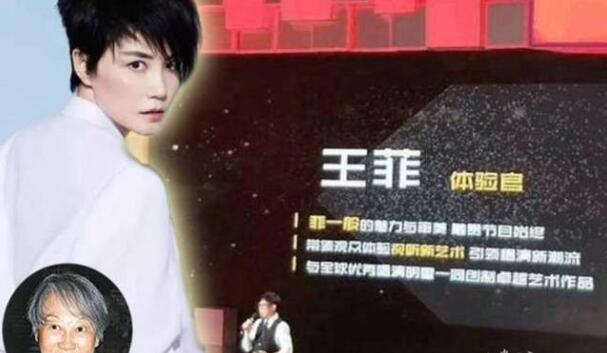 曝王菲真人秀酬劳是天文数字 湖南卫视真人秀幻乐之城引颈以待