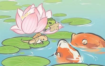 《旅行青蛙中国版》稀有明信片、长城明信片怎么获得?