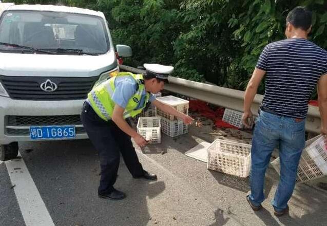 神奇！小龙虾百慕大翻车 货车在此总是难逃厄运 虾也被压成“虾饼”