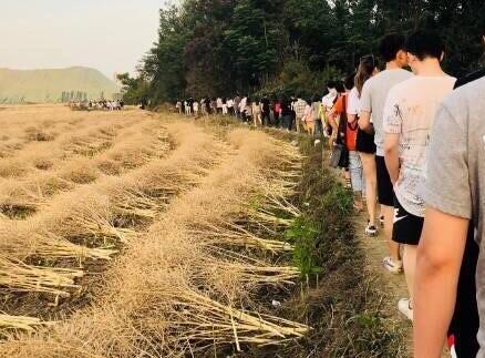 为了赚钱?成都承办方被约谈 