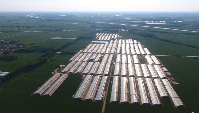 宛如世外桃源 航拍聊城暮春乡村田园风光 