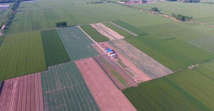 宛如世外桃源 航拍聊城暮春乡村田园风光 