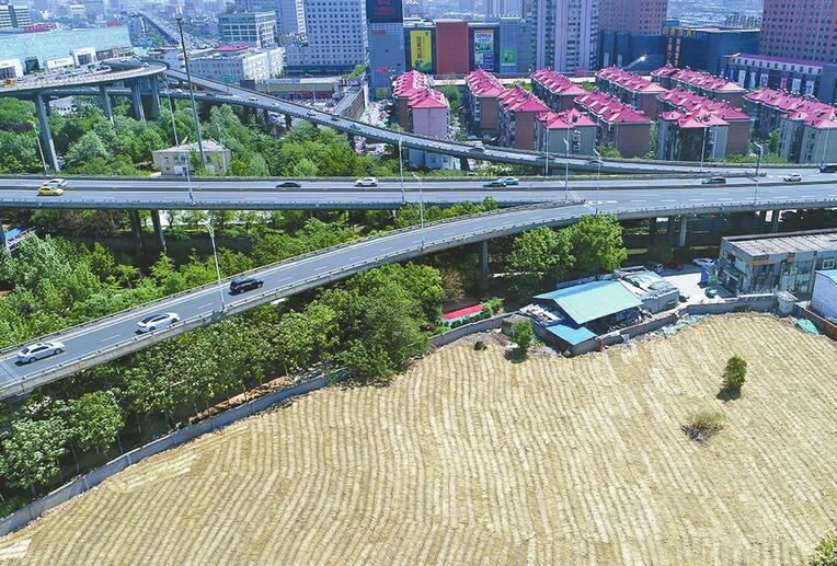 北园立交西南侧荒地披绿变身花园
