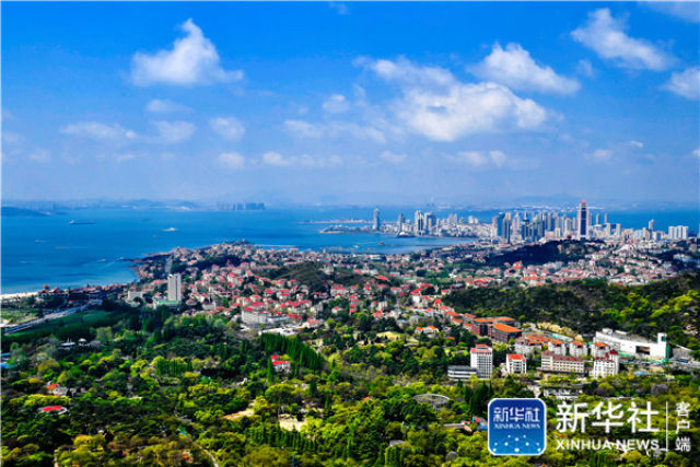 青青之岛 亲亲上合 世界目光将再次聚焦这里!