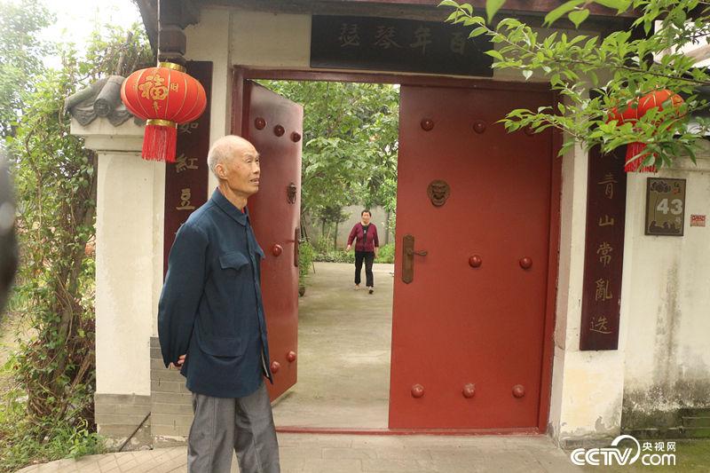 【汶川地震十年】千年红豆树 震后发新枝